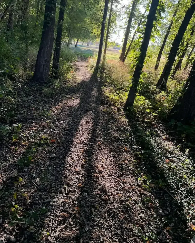 Photograph of a leaf-strewn dirt path through woods, with long tree shadows across it and a sunlit open field visible in the distance.