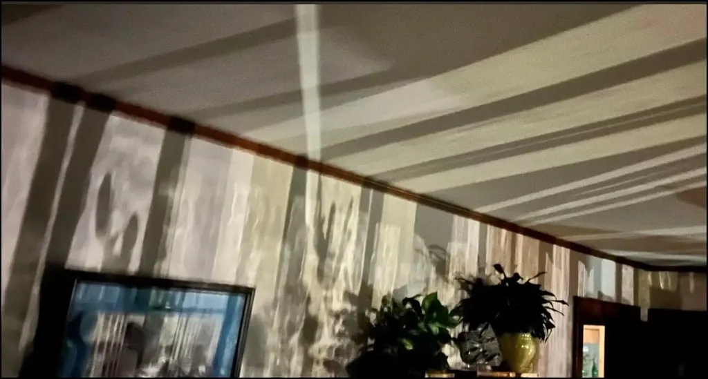 Bands of light and shadow stretch across a ceiling and wood-trimmed wall above potted plants and a framed picture.
