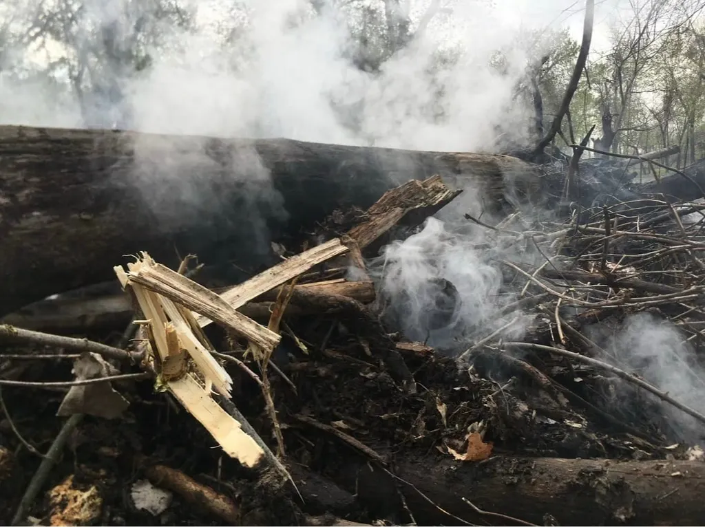 Smoldering brush pile of charred logs and splintered wood sending up thick white smoke in a wooded outdoor setting.