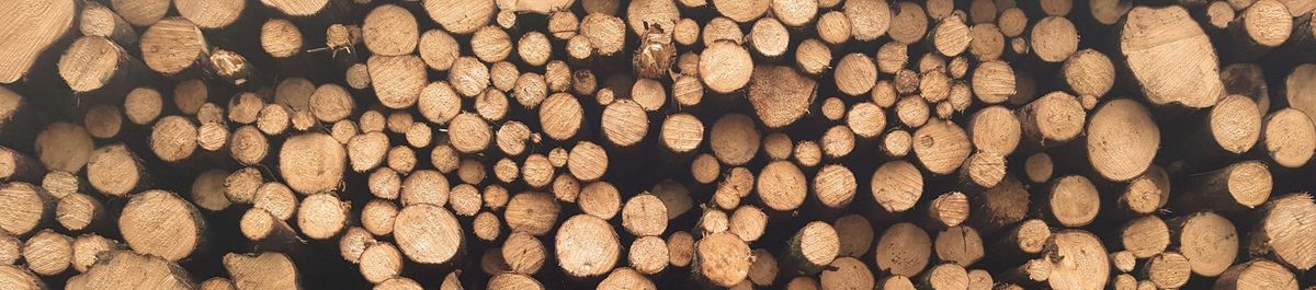 The Log Is Fake