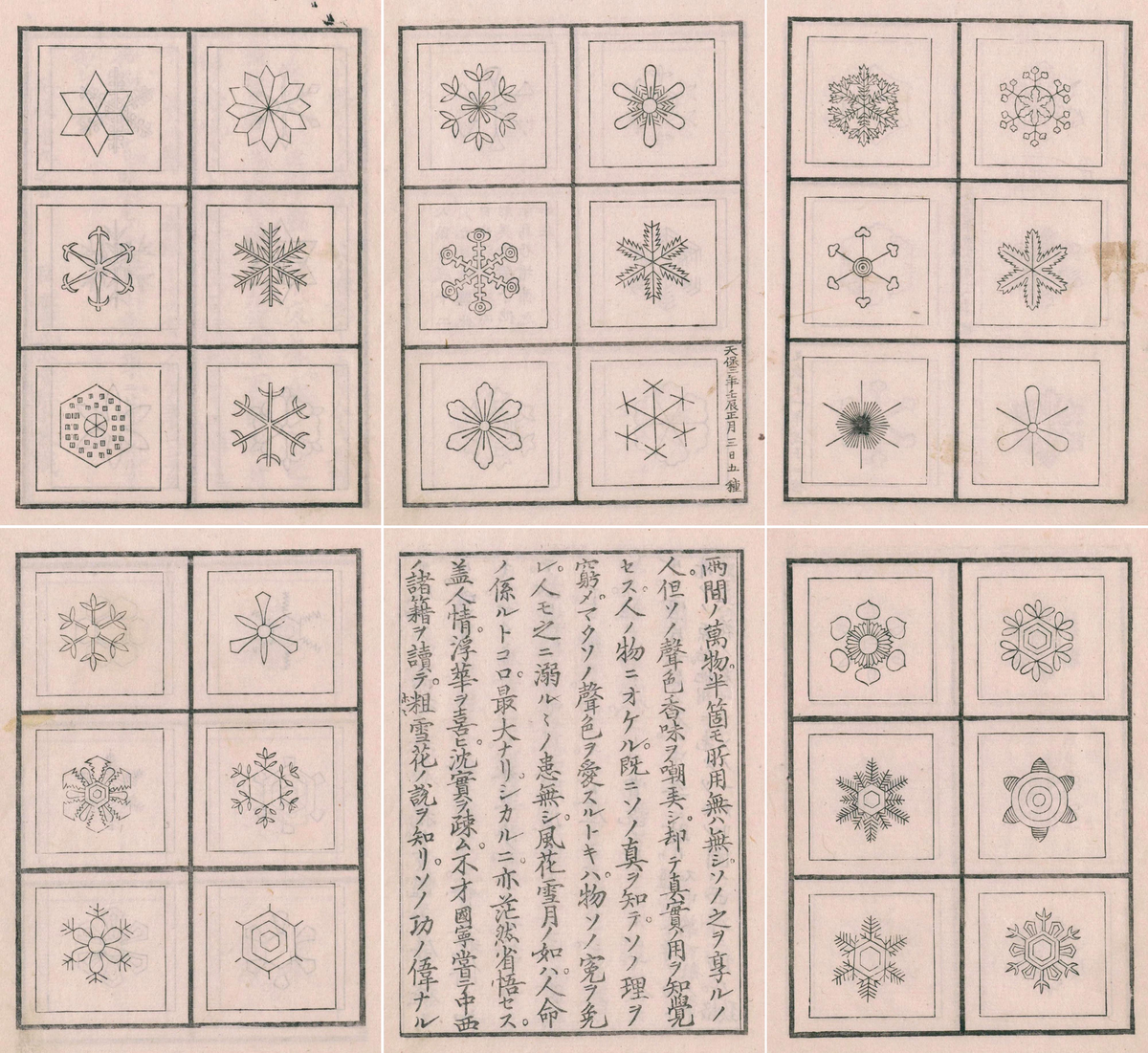 Chains of Snowflakes
