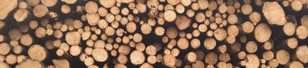 The Log Is Fake