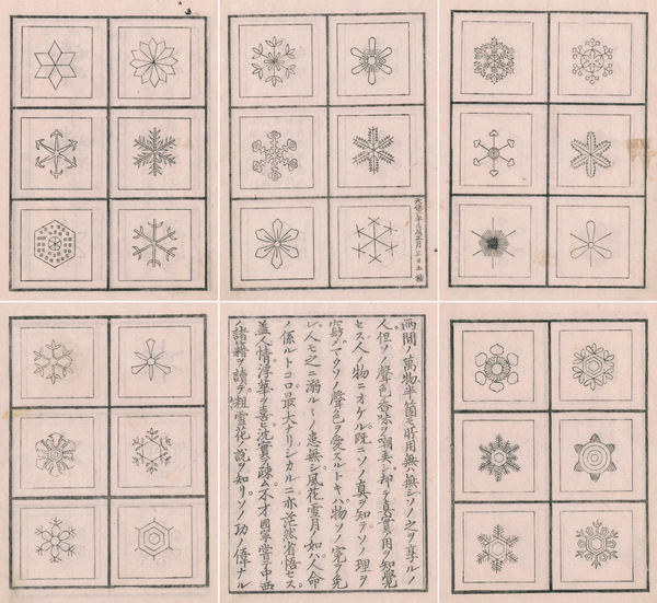Chains of Snowflakes