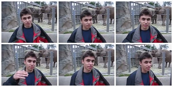 "That's pretty much all there is to say." (YouTube / jawed, 2005)