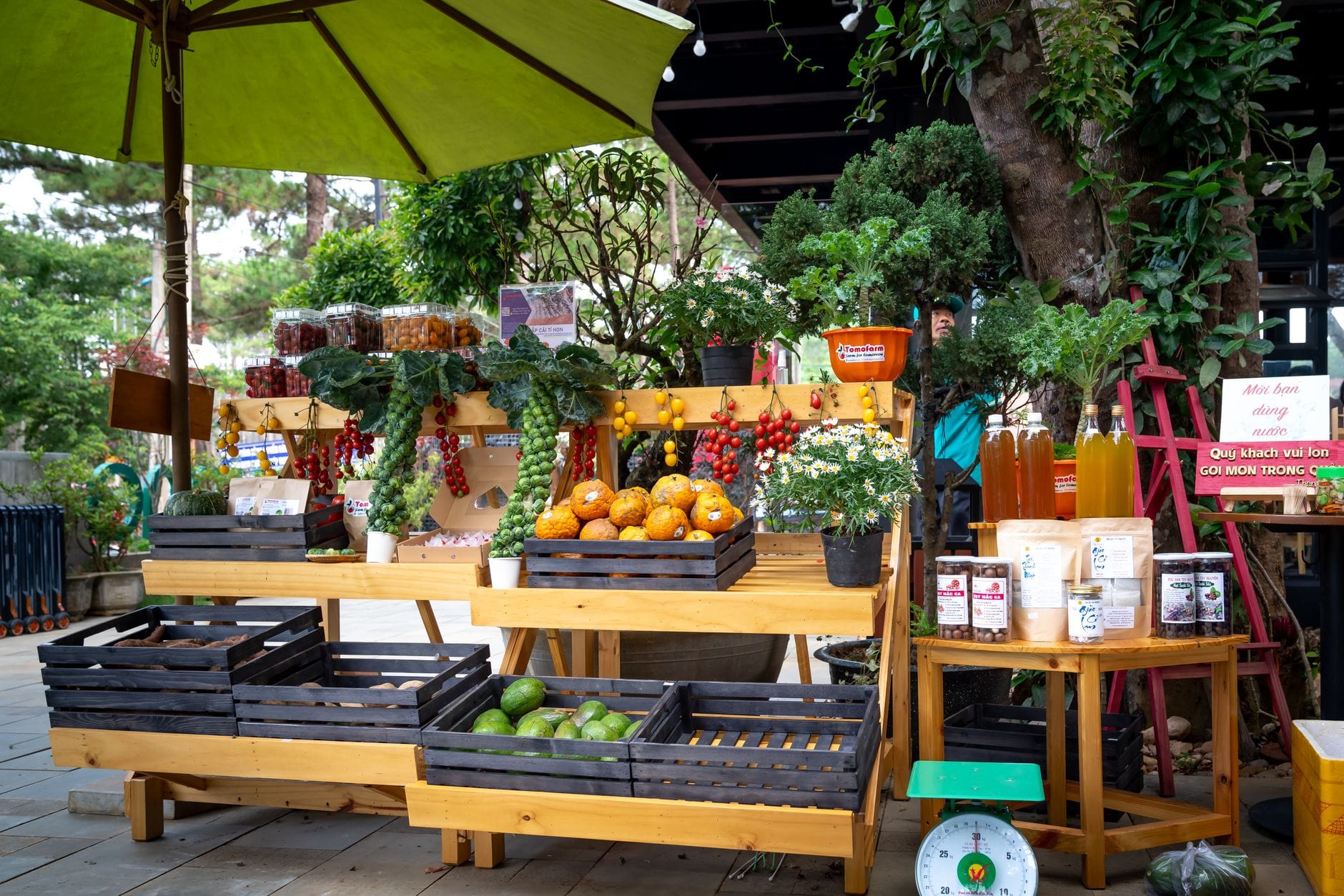 Farm stand display with fresh seasonal produce and wooden signage