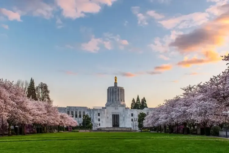 Moving to Salem, Oregon? Here’s What You Should Know Before You Do