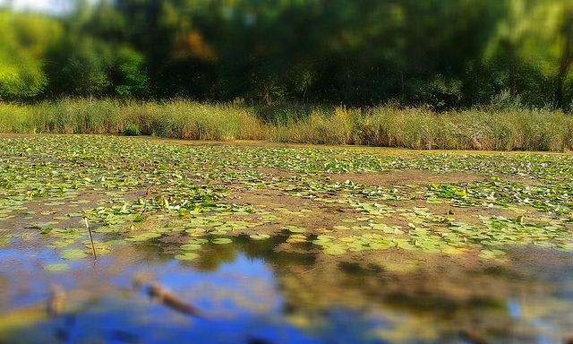 Agile Product Management with Scrum summarized