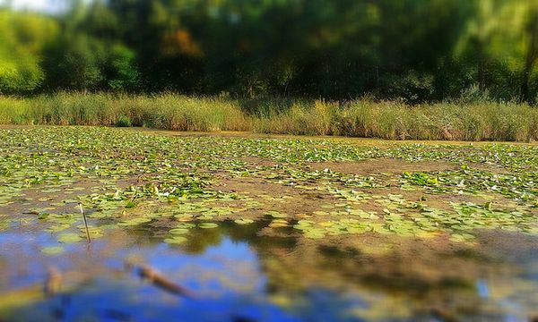 Agile Product Management with Scrum summarized