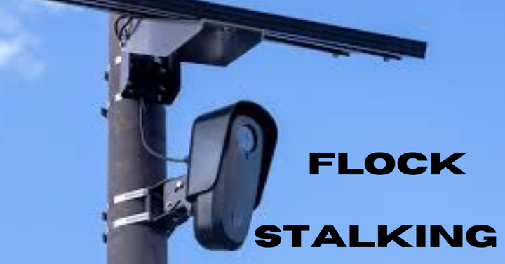 Several Police Officers Have Been Arrested For Using Flock To Stalk Their Exes