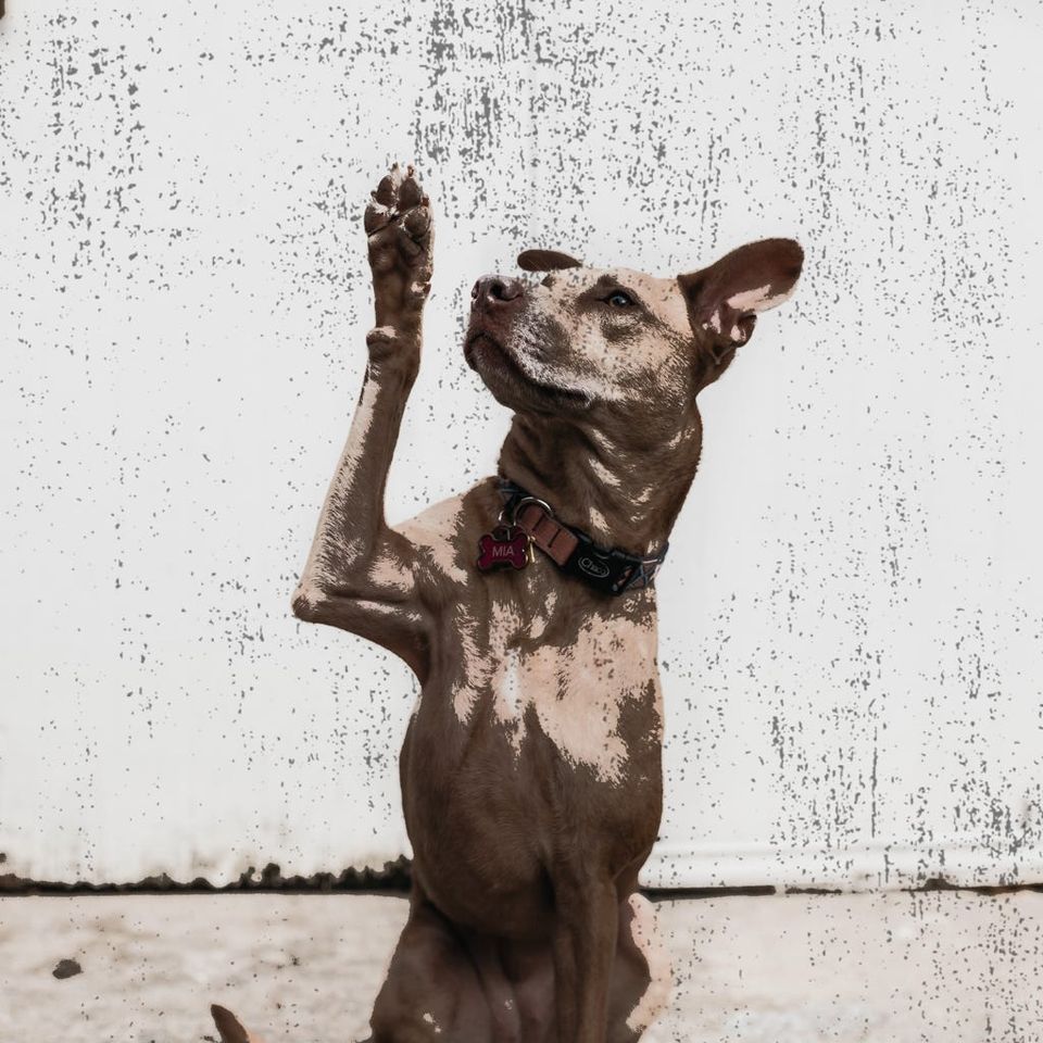 How do you specialise?