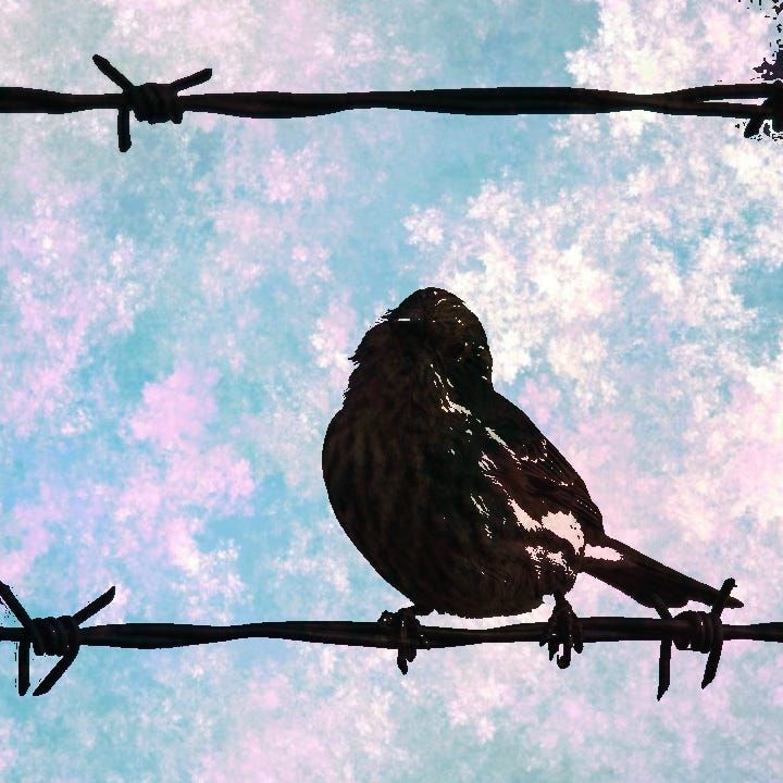 What do you do when your client treats you like crap?