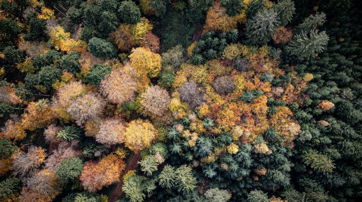 Global Markets Recap - Week of Nov 6, 2023