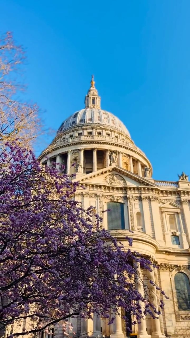 Newsletter - Week of March 24, 2025