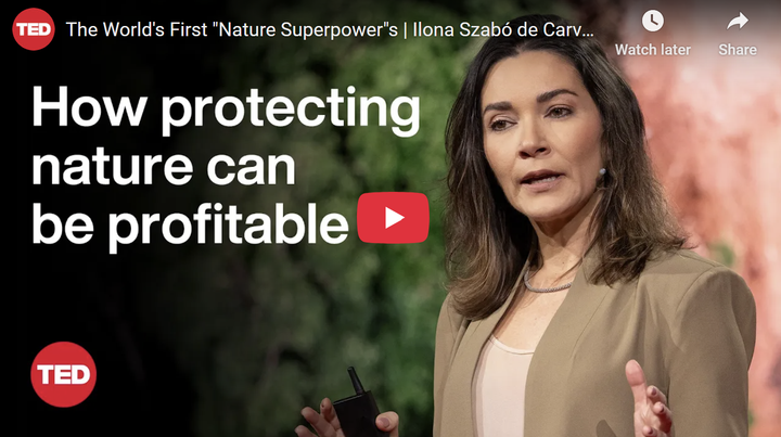 Sustainable/Impact Investing] How Protecting Nature Becomes Profitable: Ilona Szabó on Brazil’s Nature Superpower