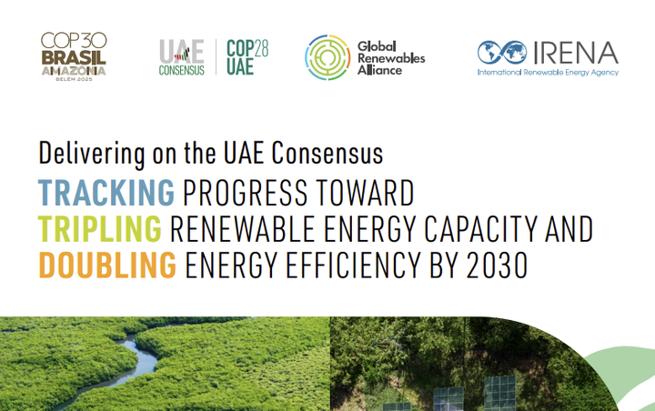 Sustainable/Impact Investing] IRENA Global Renewables Outlook 2025 (Tracking the UAE Consensus)