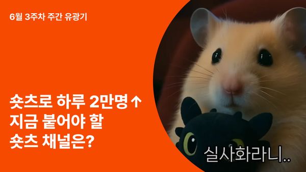 하루 구독자 성장 2만명⬆️ 지금 숏츠에 올라타세요!