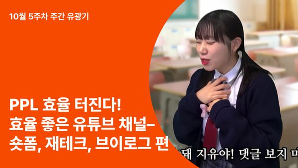 PPL 효율 터진다! 효율 좋은 유튜브 채널–  숏폼, 재테크, 브이로그 편