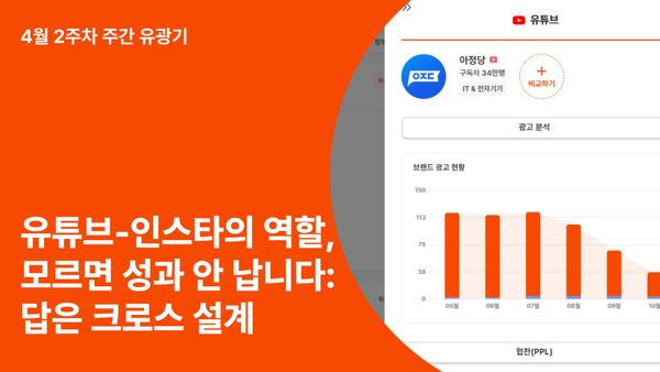 유튜브와 인스타 역할 차이, 모르면 성과 안 납니다: 답은 크로스 설계