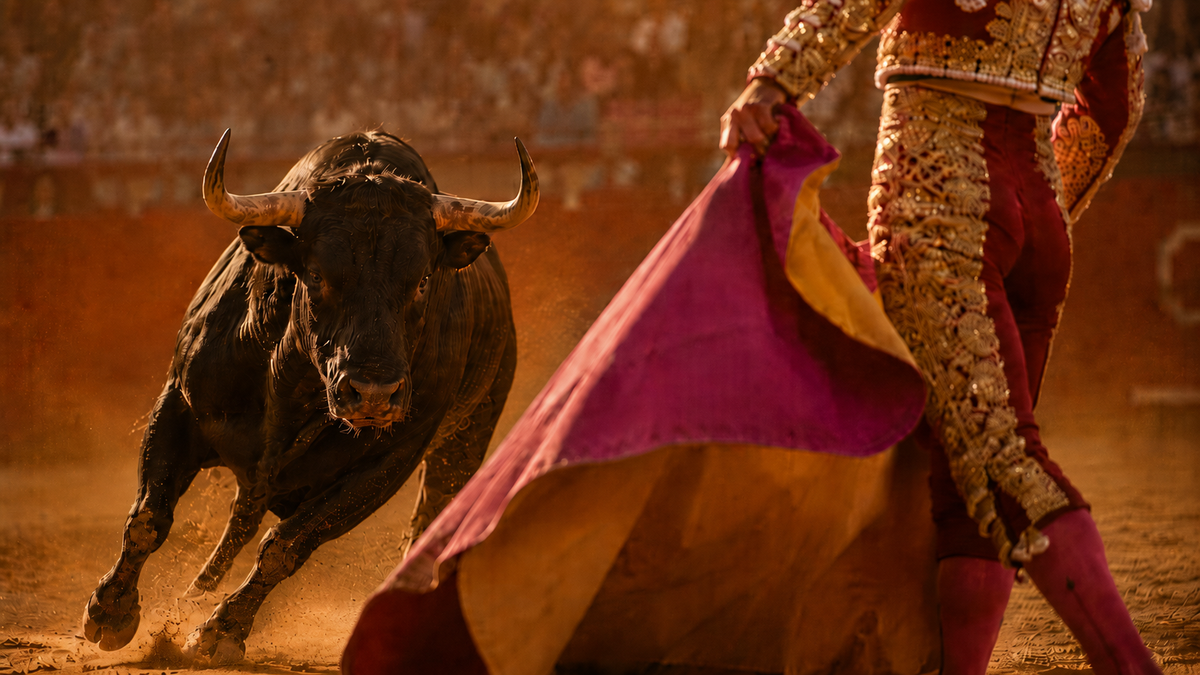 ¿Necesitas ver morir al animal para que te gusten los toros?