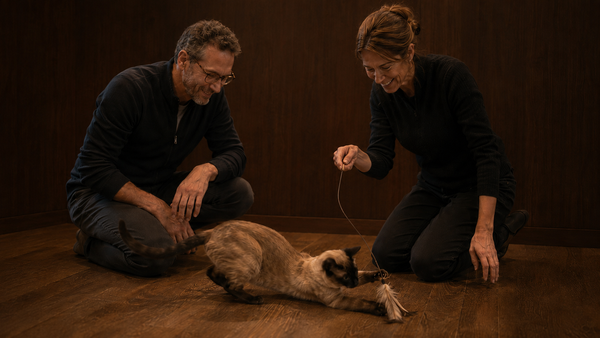 Pioneros en Catfulness: mindfulness con gatos