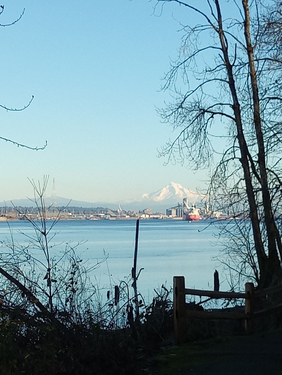 Image of Mt. Hood in background, winter trees in foreground, large shipping vessel to the right
