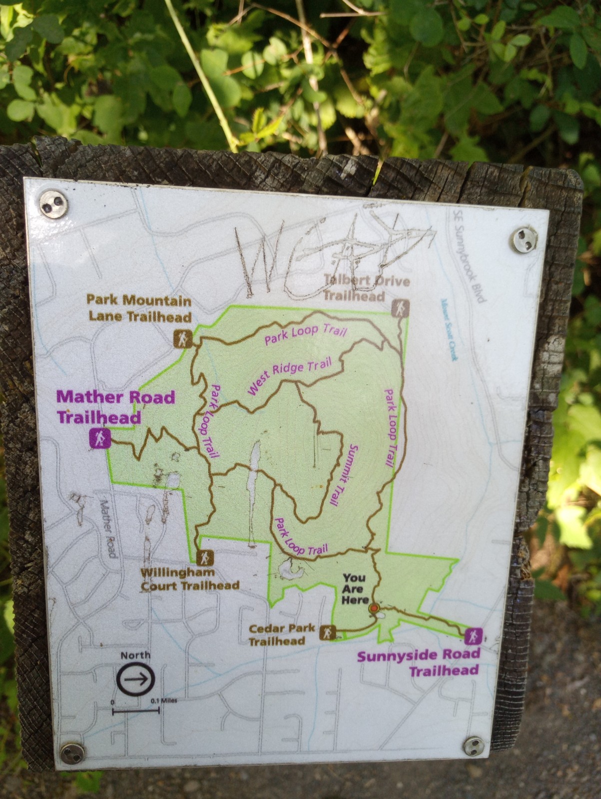 Image of Mt. Talbert map on the trail