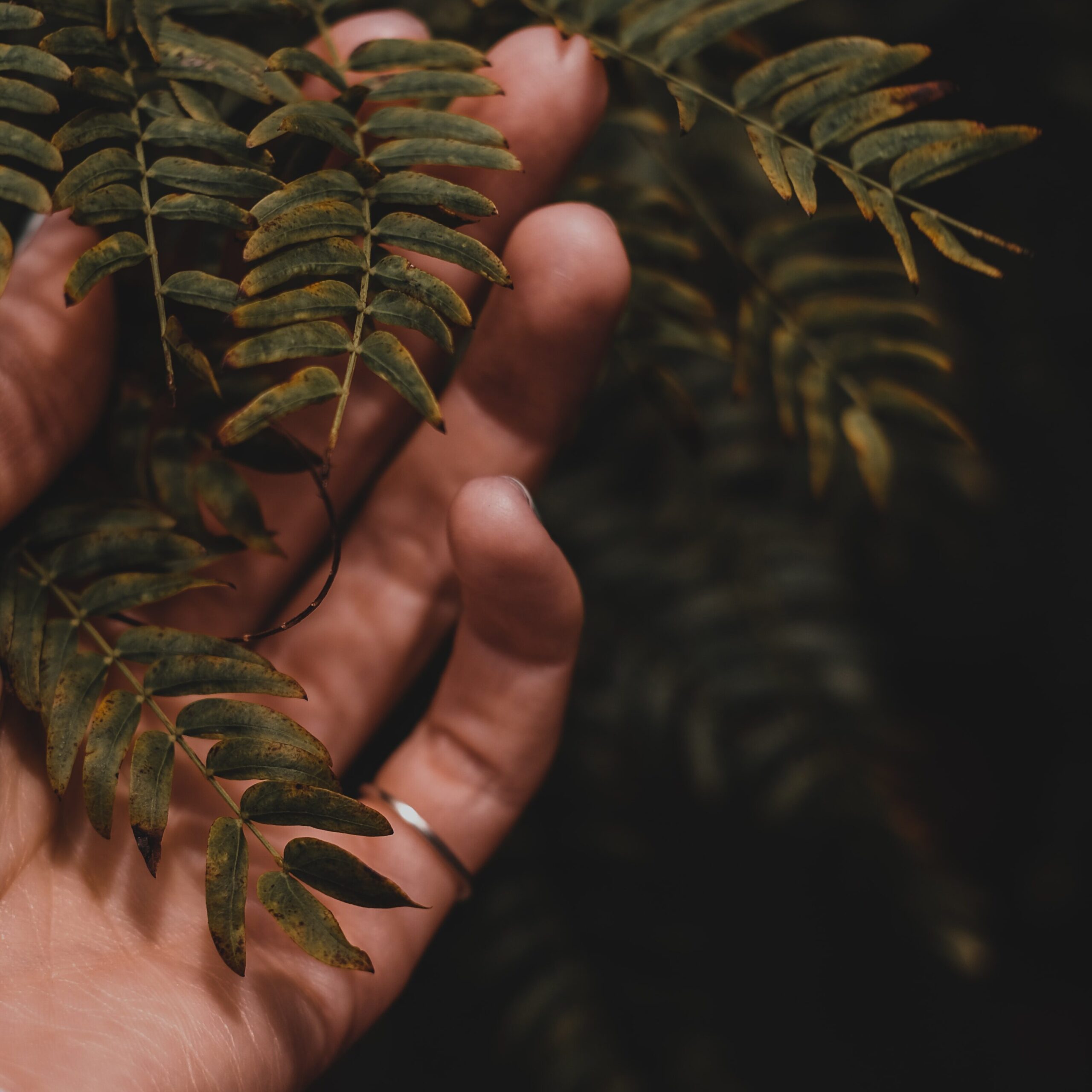Photo by Valeriia Miller on Unsplash