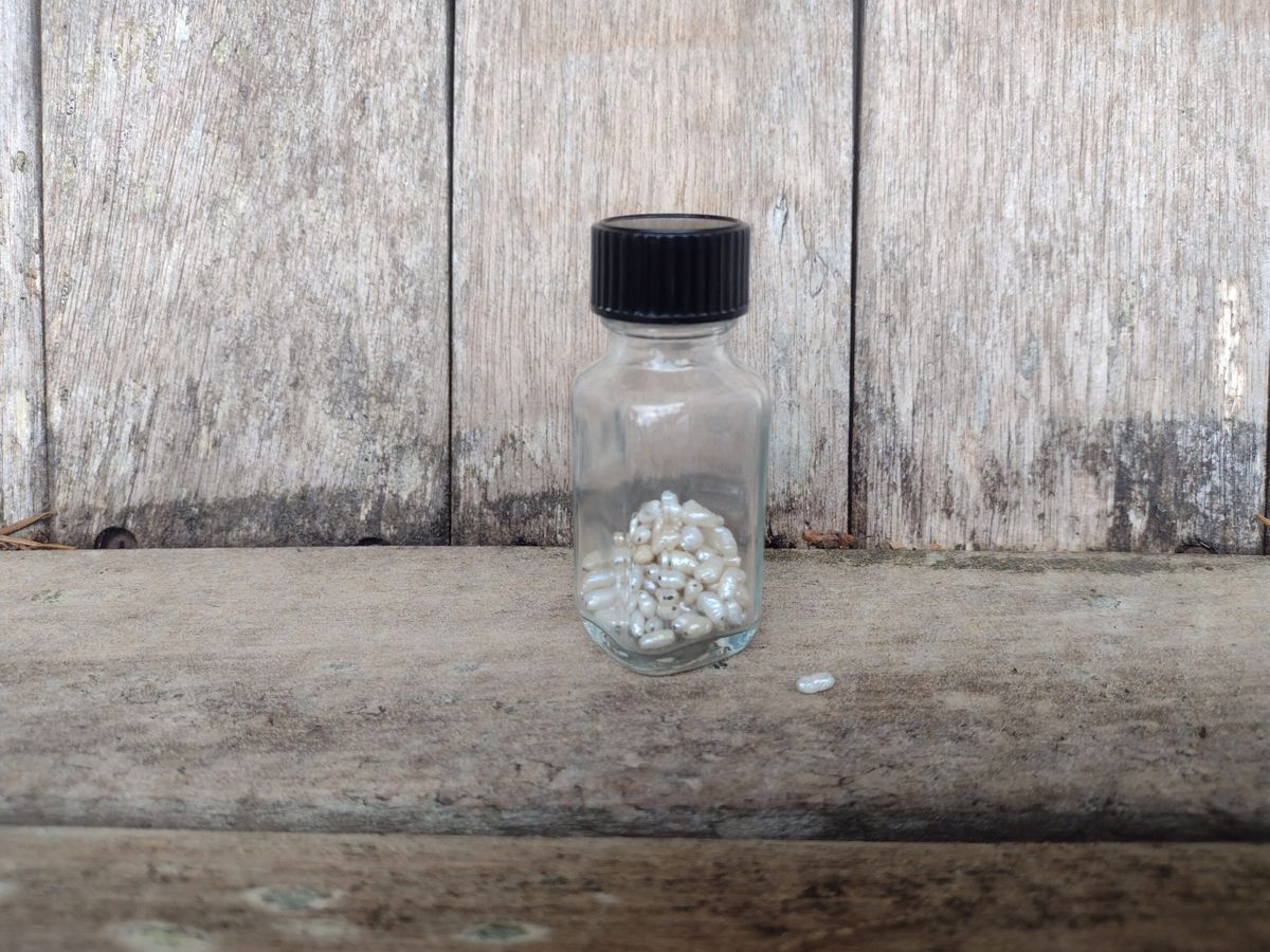 Moment of Mind Summer 2024