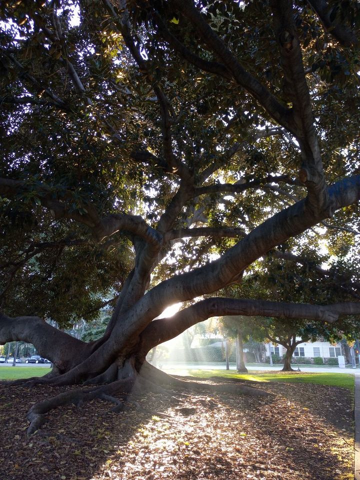 Moment of Mind November 2021