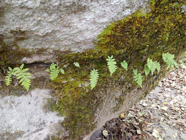 Moment of Mind January 2022