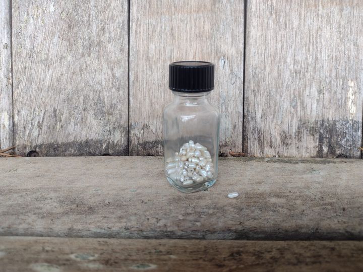 Moment of Mind Summer 2024