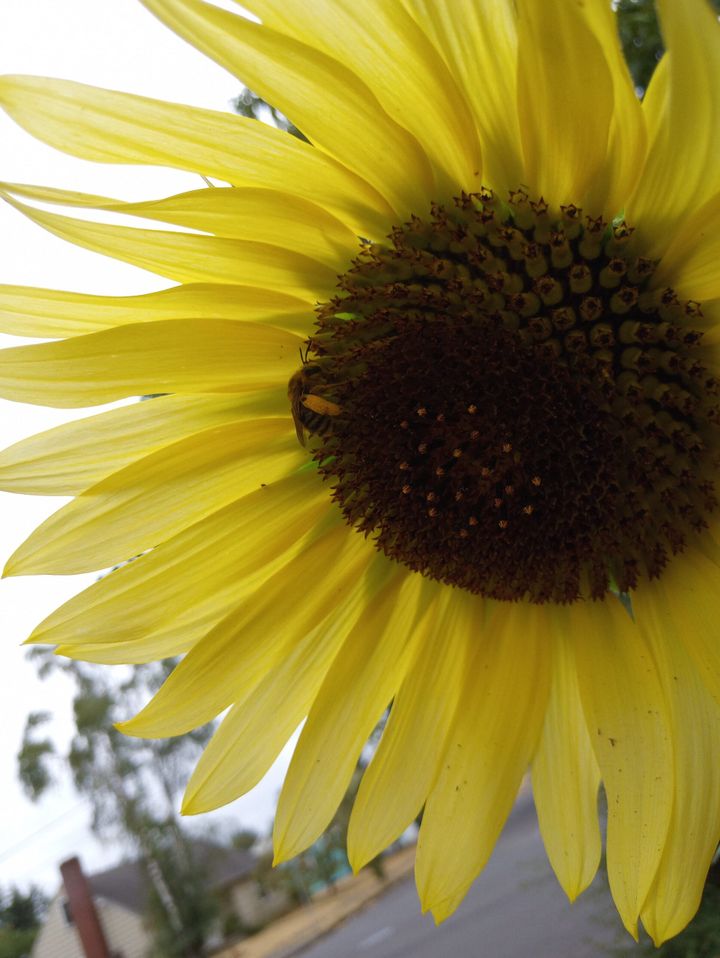 Moment of Mind Summer 2023