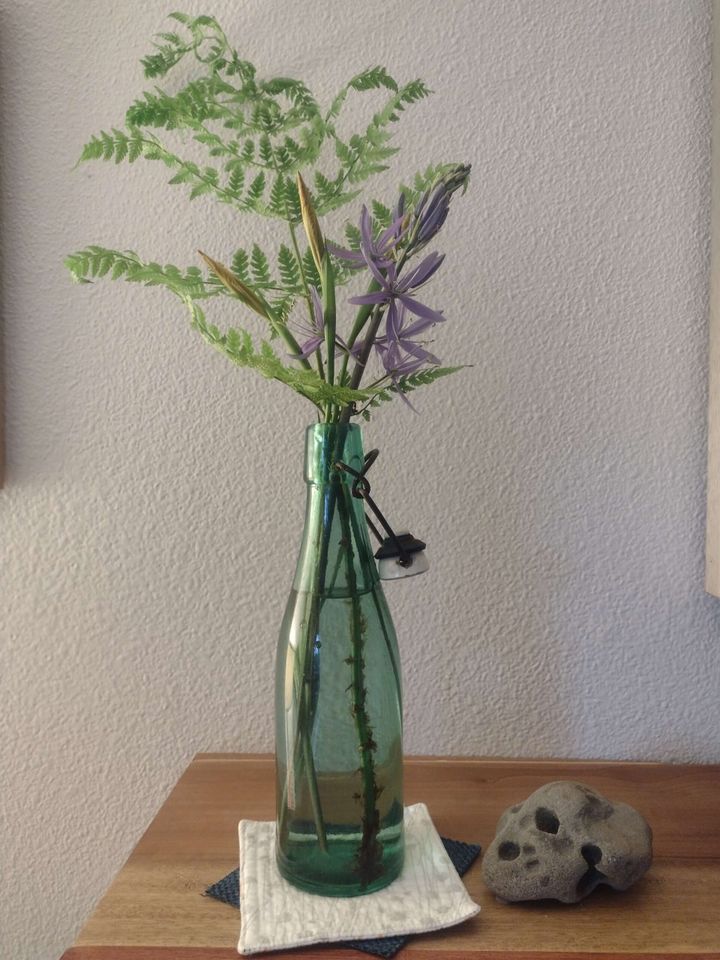 Moment of Mind Spring 2024