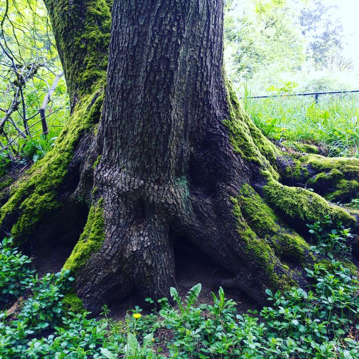 Moment of Mind Fall 2024