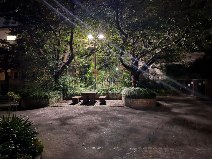 A park at night featuring a picnic table lit up by a tree-surrounded light pole. 