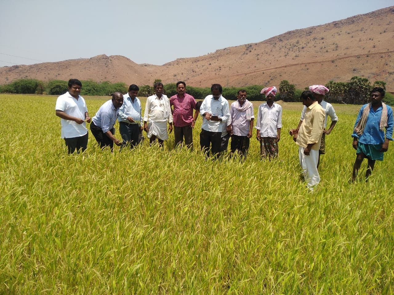 Sattvika's Community: Supporting Local Farmers