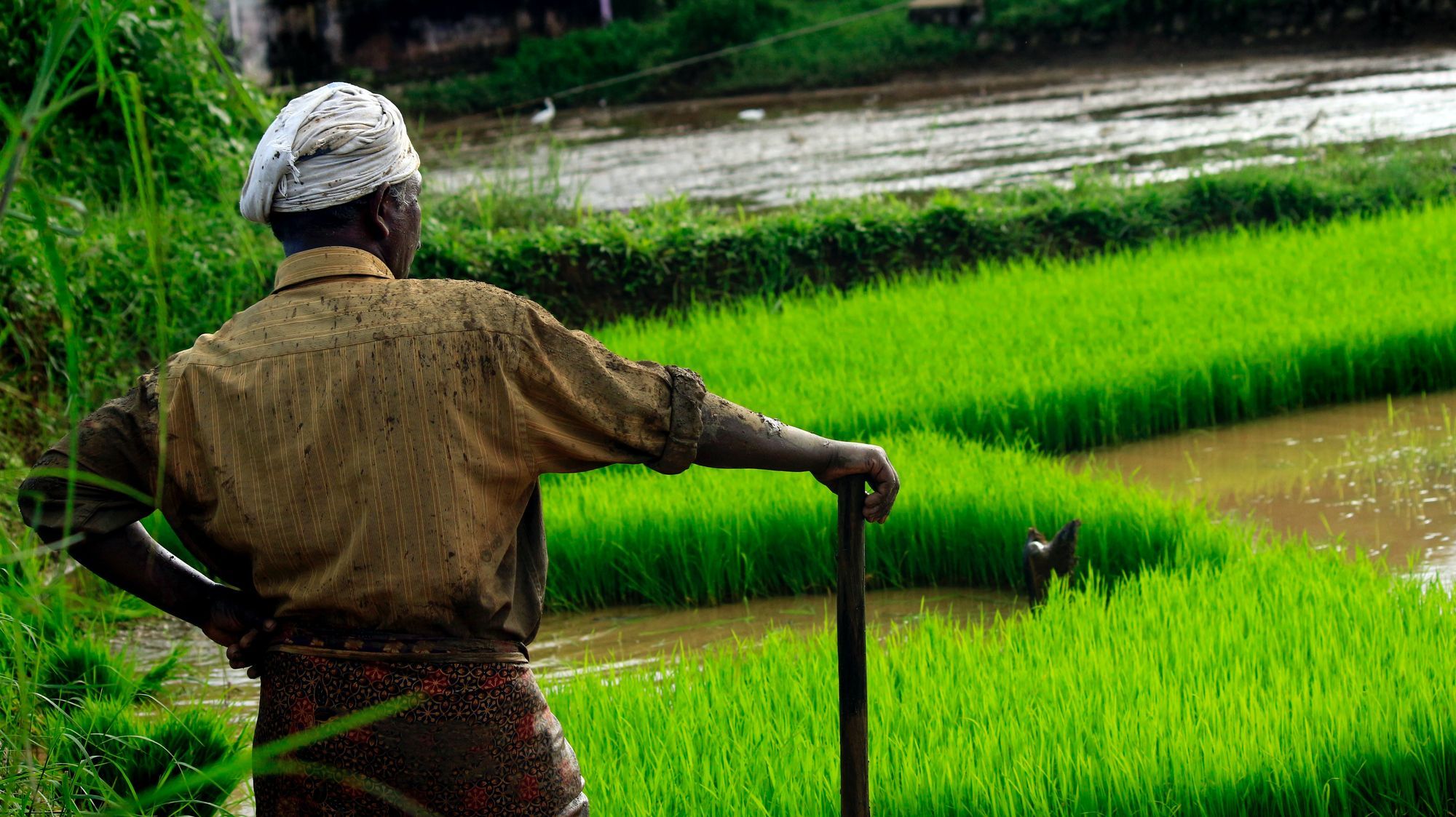Your Health, Our Priority: Benefits of Natural Farming