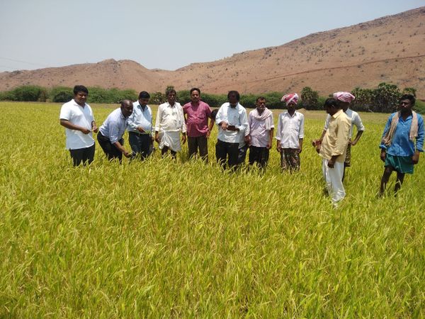 Sattvika's Community: Supporting Local Farmers