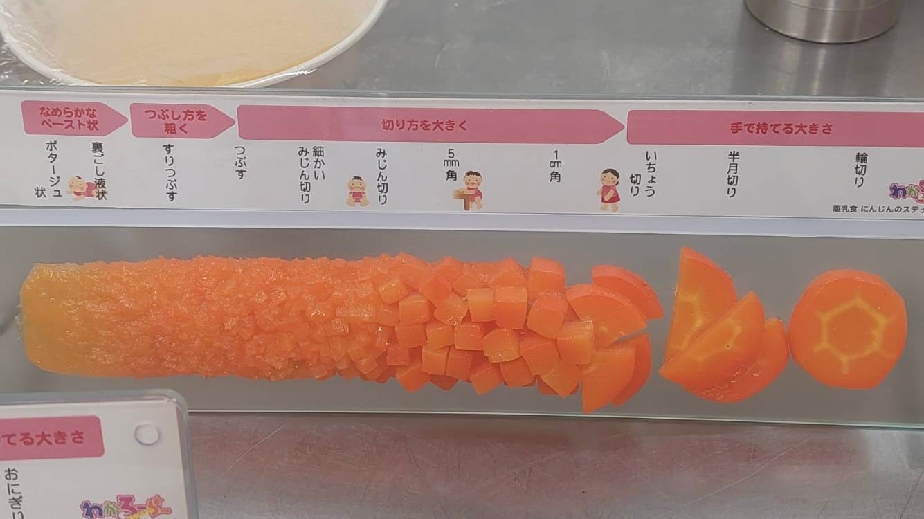 A model illustrating chopped sizes of carrots, ranging from very small to larger chunks, according to babies’s age