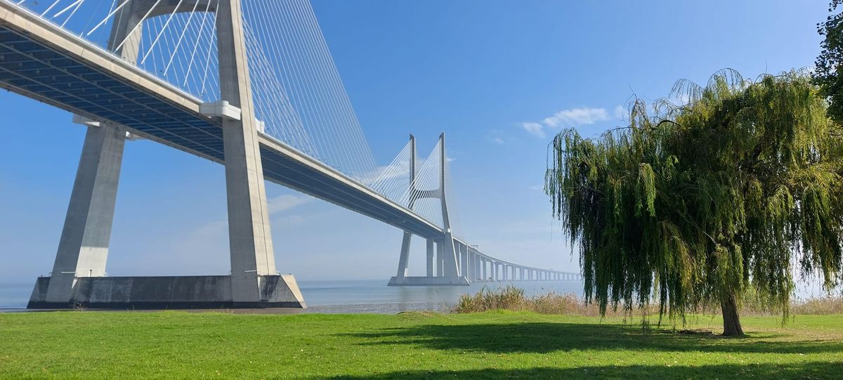 Why Do We Need a Blameless Culture?