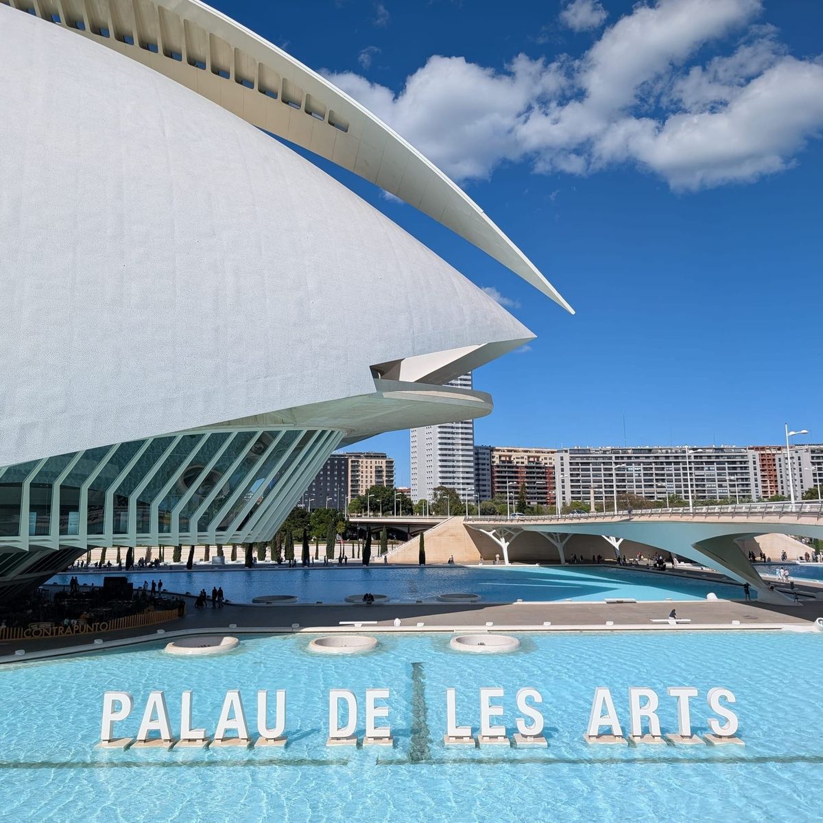 The Secret of Highly Efficient Teams