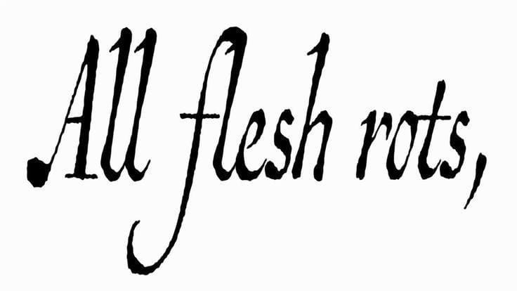 [phd logs, 4] freakish only for work