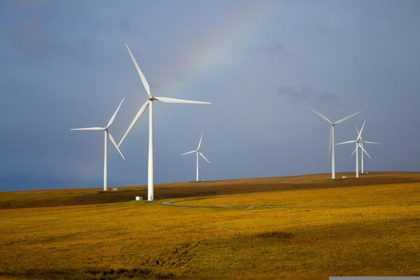 A few of the best sustainable startups out there in 2025 that could weather a recession