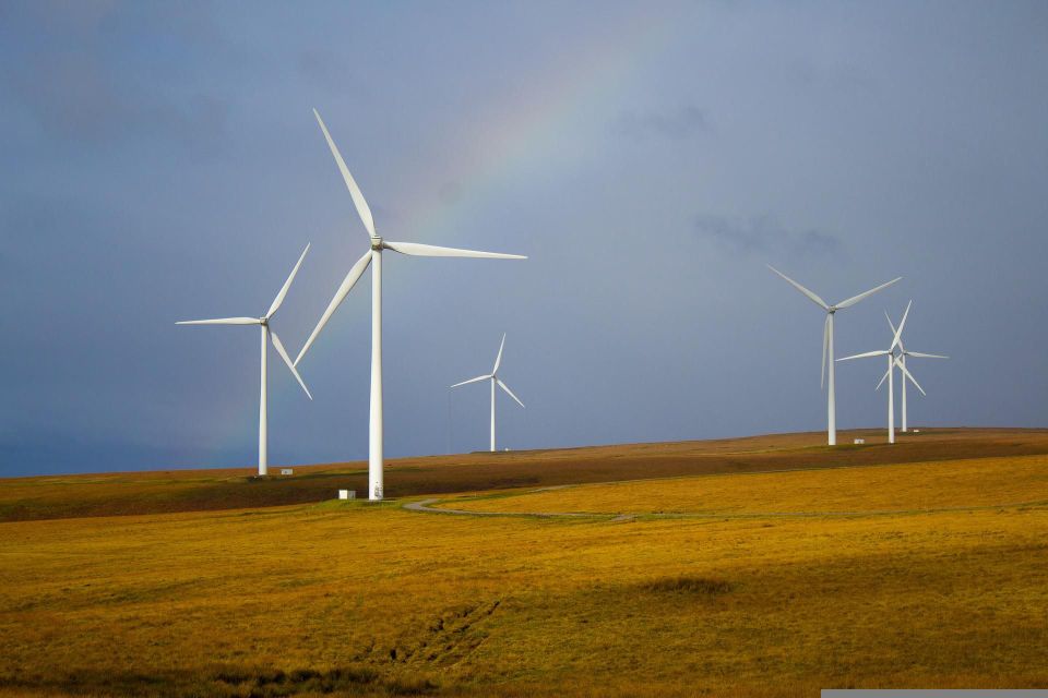 A few of the best sustainable startups out there in 2025 that could weather a recession