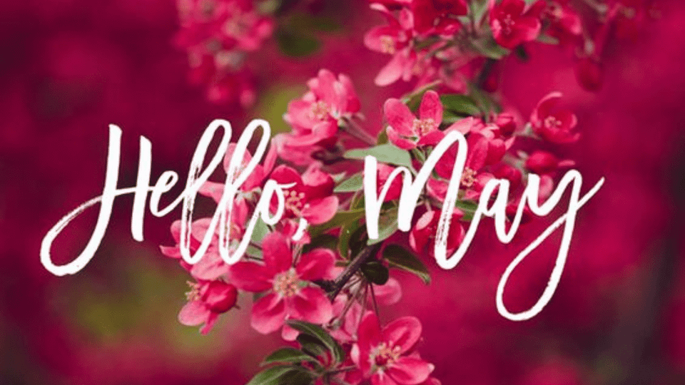 Best Buys May 2025