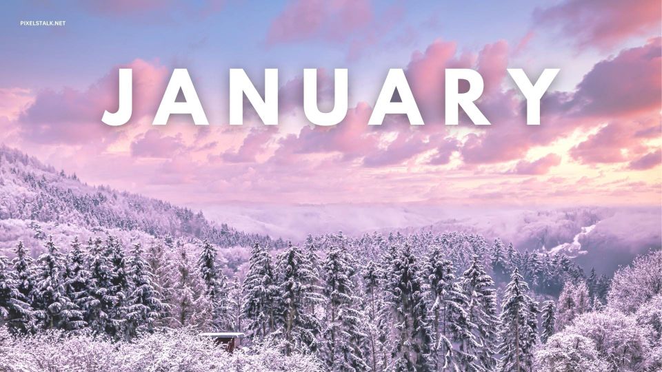 Best Buys January 2025
