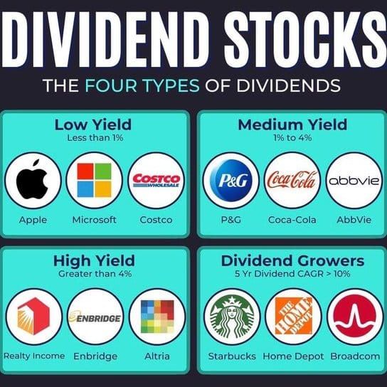 💸 The Best Stock Ever