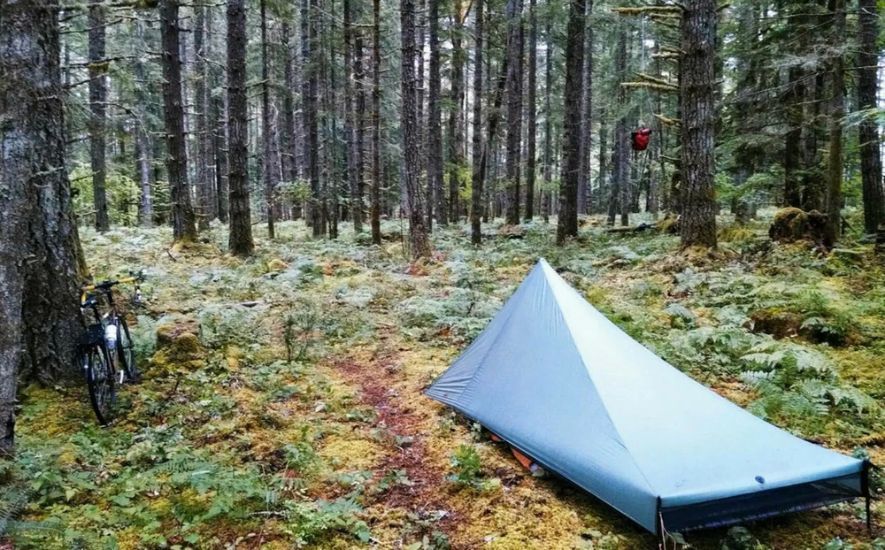 Stealth Camping: Unconventional Escapes for the Intrepid