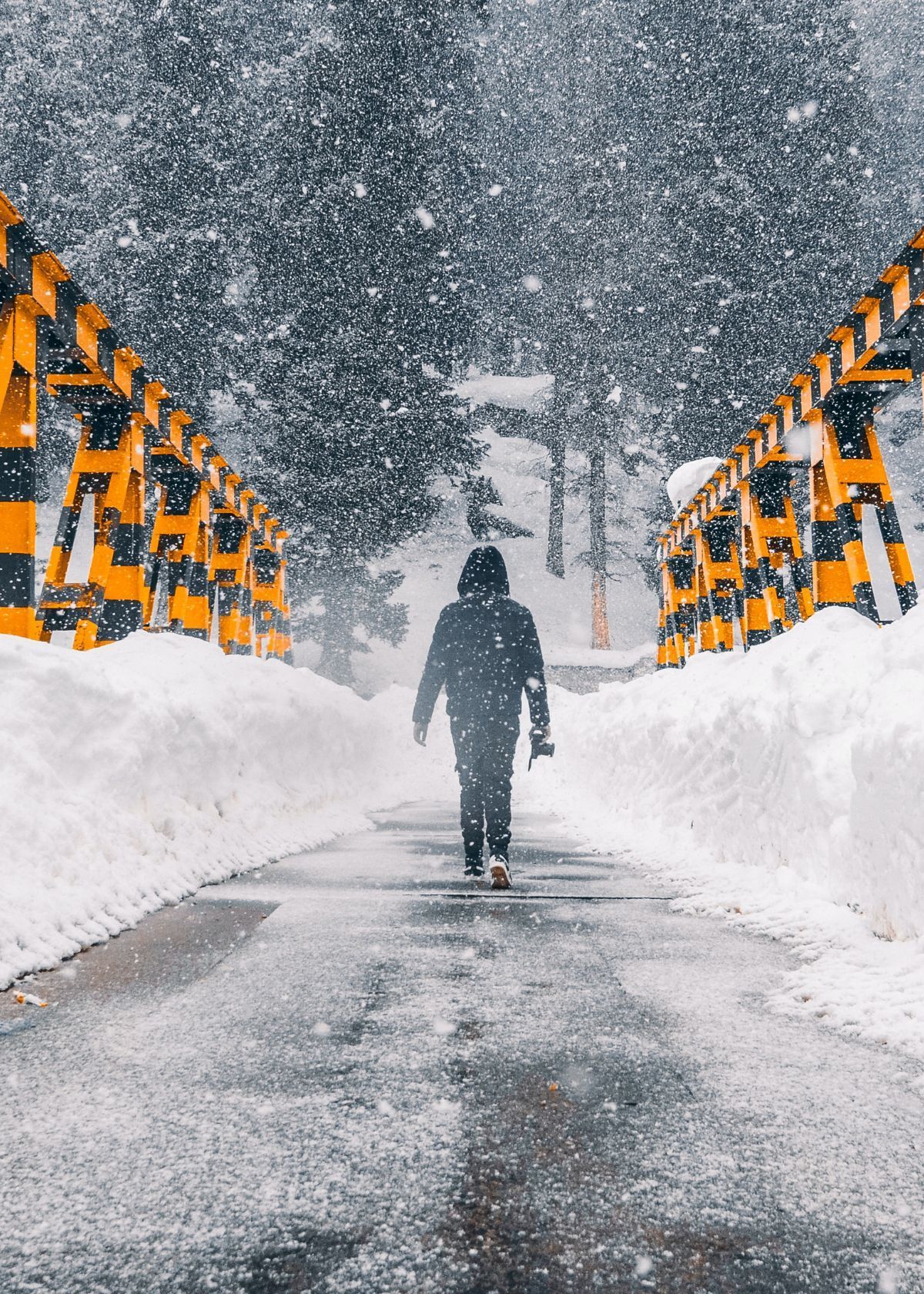 How to survive a snowstorm