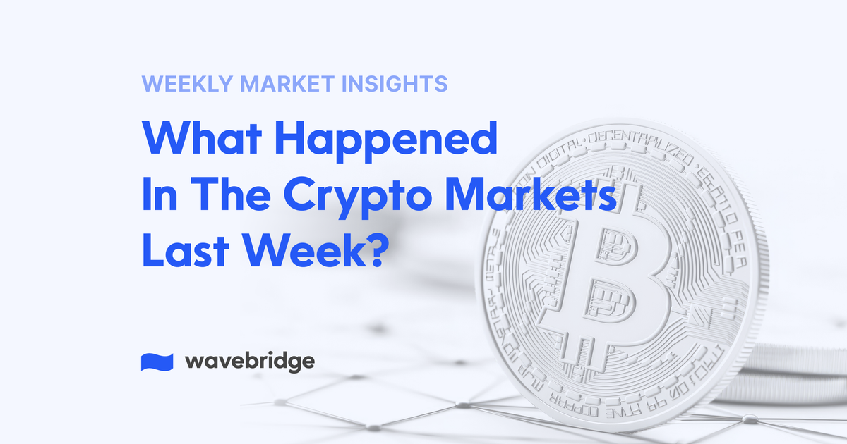 Market Insights:                           NOV 2024 | Week3